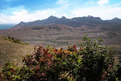 Прикрепленное изображение: IMG_8717.jpg